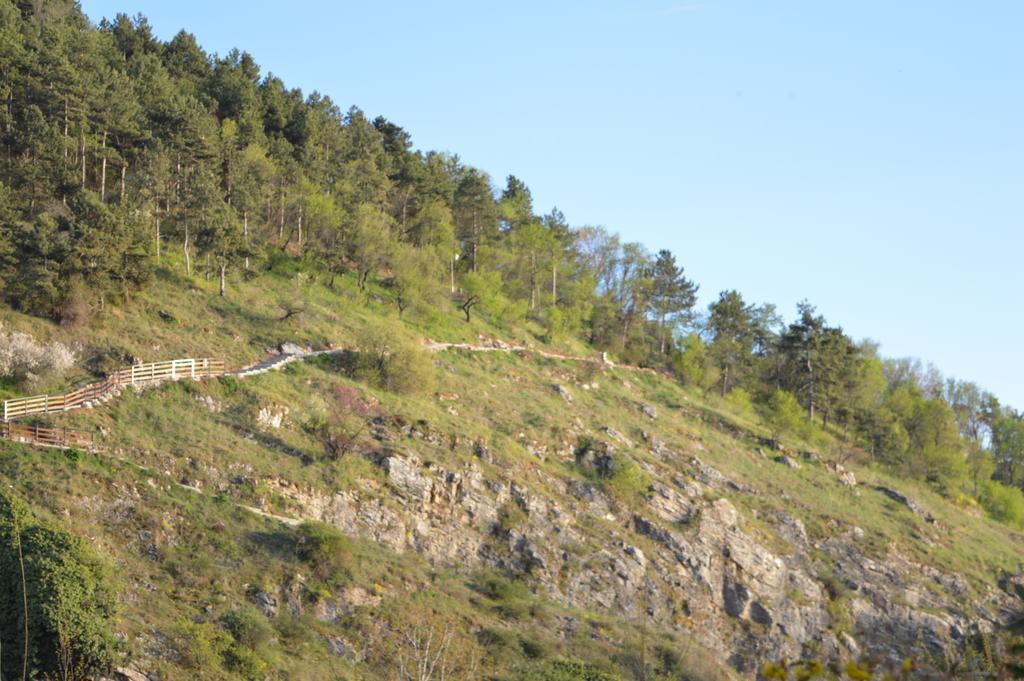 Vila Sara Ochrid Exteriér fotografie